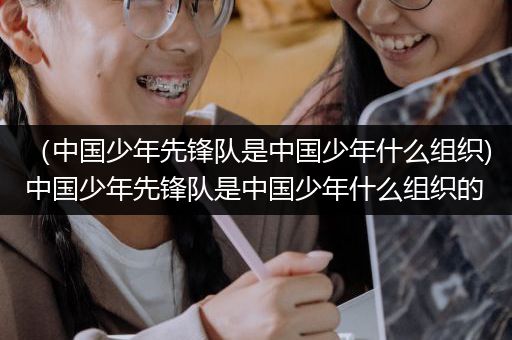 （中国少年先锋队是中国少年什么组织)中国少年先锋队是中国少年什么组织的